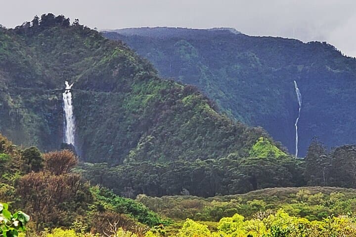 Halfway to Hana: Rainforest Waterfalls & Ke'anae Peninsula Half-Day Tour photo 6