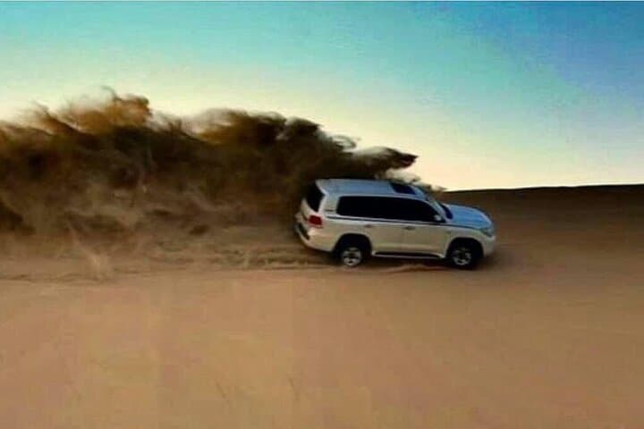 Qatar Desert Safari: Premium Camel Ride, Dune Bashing & Inland Sea Excursion photo 3