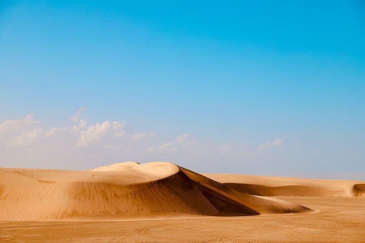 Qatar Desert Safari: Premium Camel Ride, Dune Bashing & Inland Sea Excursion photo 5