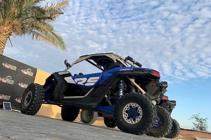 Dubai Dune Buggy Adventure: 1-Hour Off-Road Drive with Camel Ride & Sandboarding photo 6
