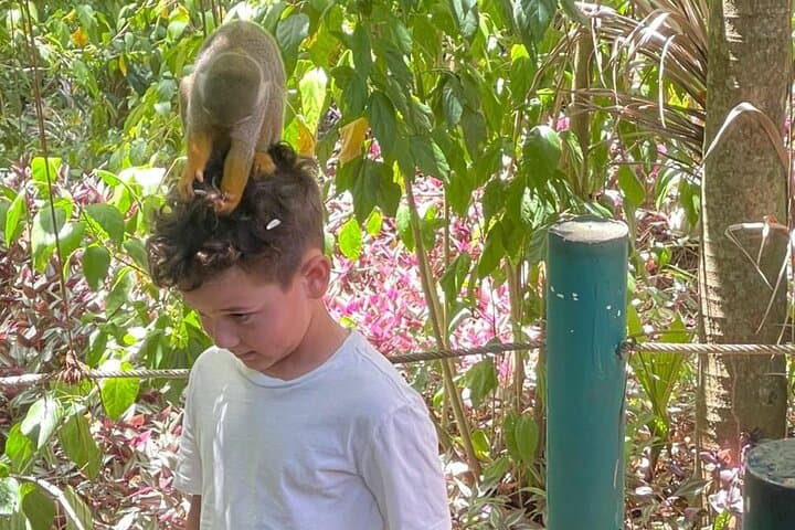 Amber Cove Monkey Encounter: Squirrel Monkey Sanctuary Tour from Puerto Plata photo 4