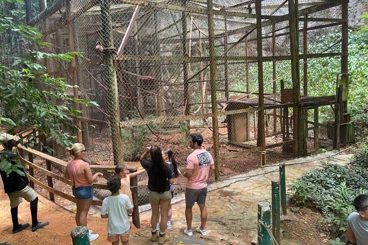 Amber Cove Monkey Encounter: Squirrel Monkey Sanctuary Tour from Puerto Plata photo 6