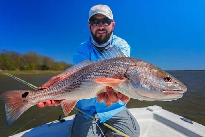 Half-Day Backwater Fishing in Naples: Tarpon, Redfish & Snook in Mangrove Channels