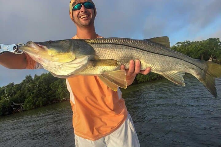 Half-Day Backwater Fishing in Naples: Tarpon, Redfish & Snook in Mangrove Channels photo 5