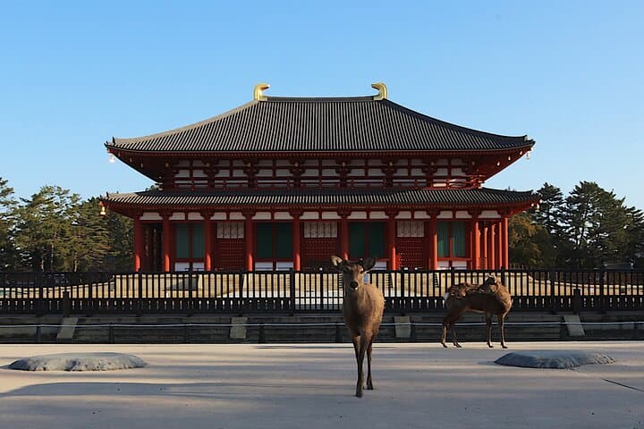 From Kyoto to Nara: Temples, Deer, and Timeless Gardens photo 2