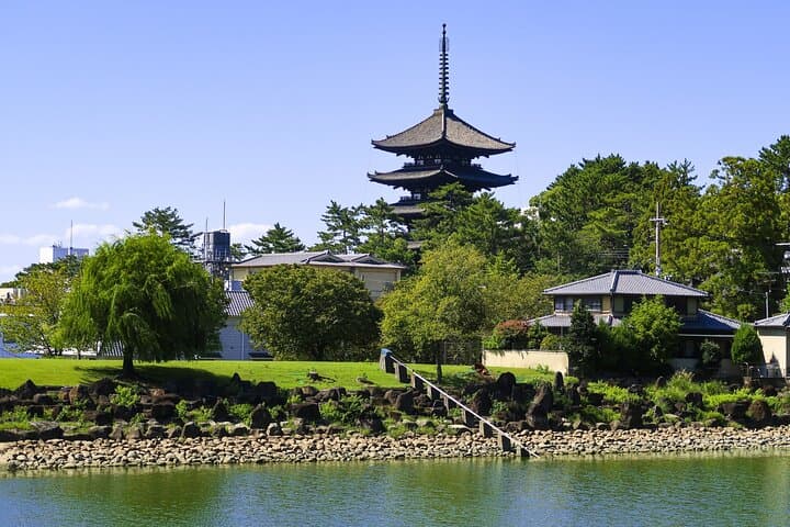 From Kyoto to Nara: Temples, Deer, and Timeless Gardens photo 3
