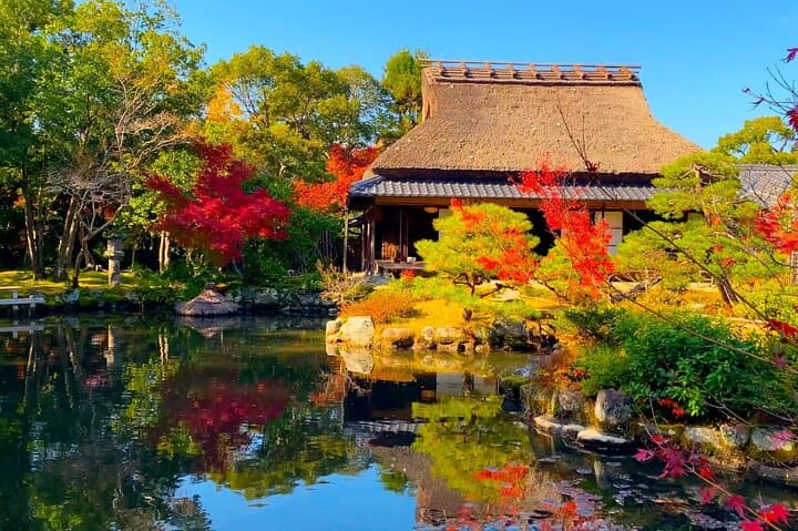 From Kyoto to Nara: Temples, Deer, and Timeless Gardens
