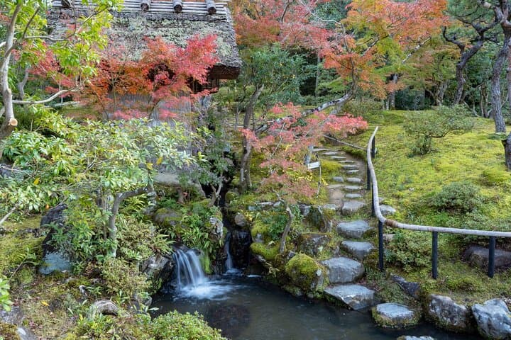 From Kyoto to Nara: Temples, Deer, and Timeless Gardens photo 6