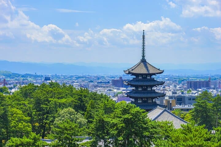 From Kyoto to Nara: Temples, Deer, and Timeless Gardens photo 4