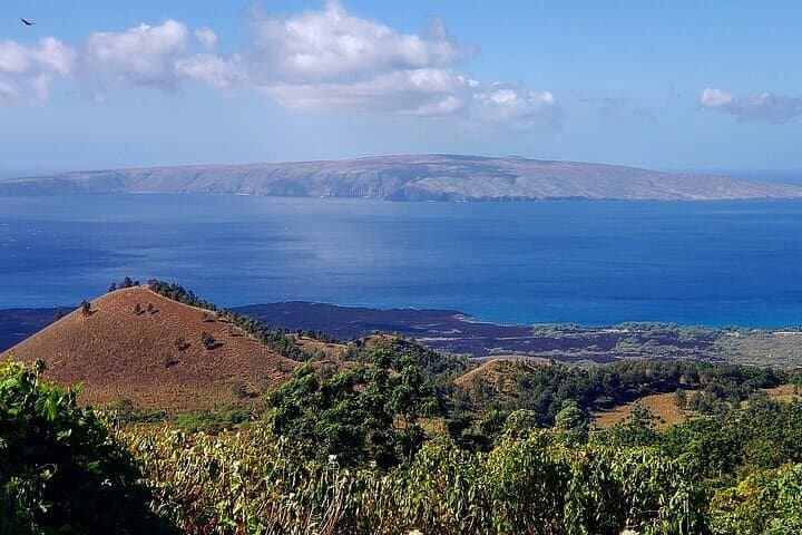 Private Maui Redwood Forest Hike: Poli Poli & Upcountry Makawao Day Tour photo 2