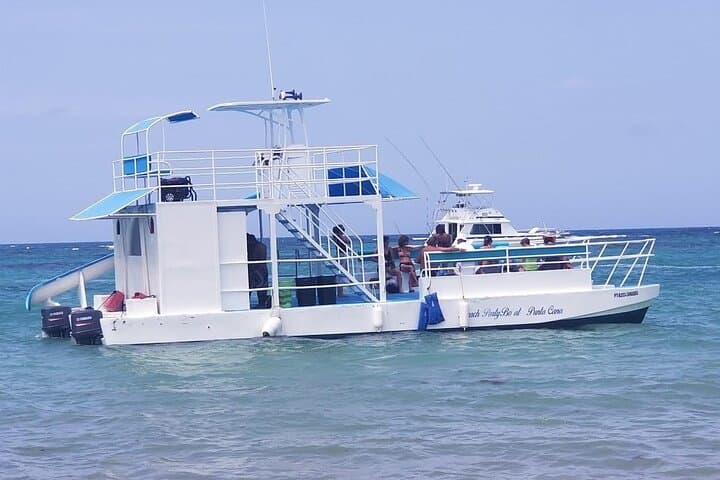Shared Catamaran Snorkel & Marine Encounter at Playa Bibijagua photo 5