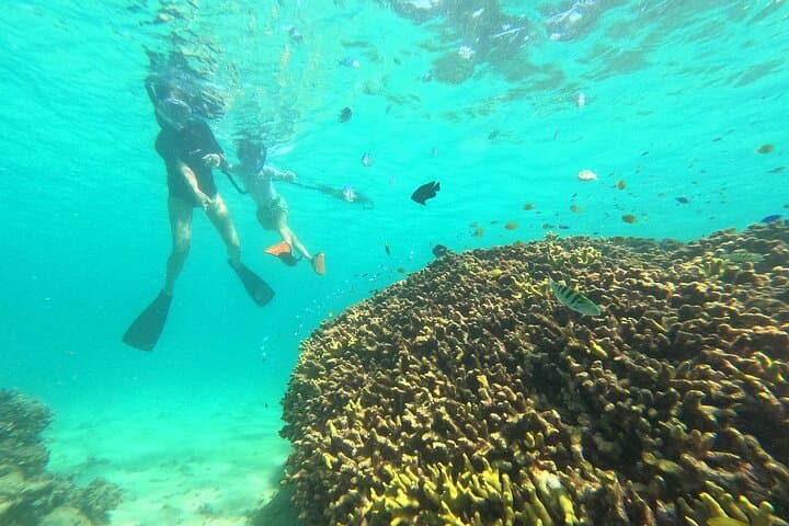 Private Snorkeling in Okinawa's Motobu Reefs: Guided Beach-Entry Adventure
