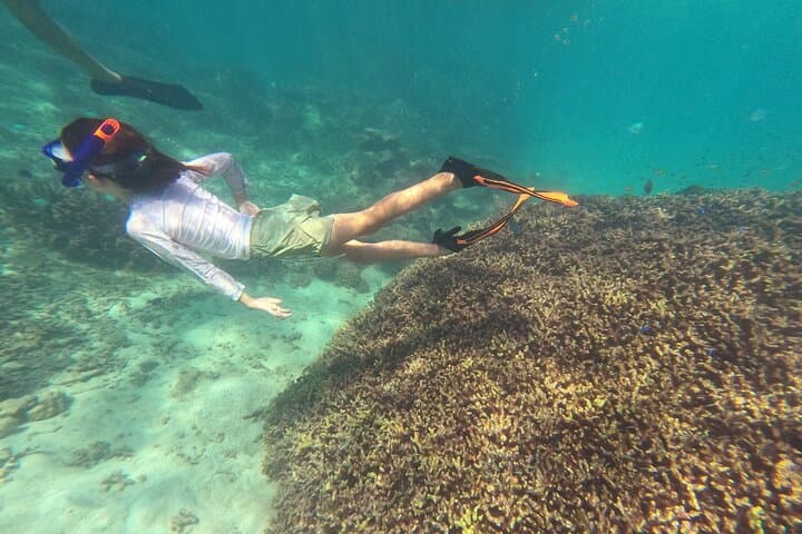 Private Snorkeling in Okinawa's Motobu Reefs: Guided Beach-Entry Adventure photo 4