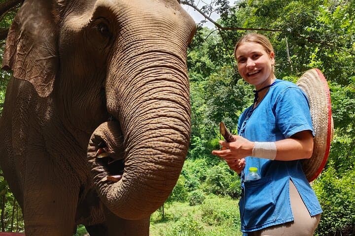 Ethical Elephant Encounter and Mae Taeng White Water Rafting Day Trip photo 3