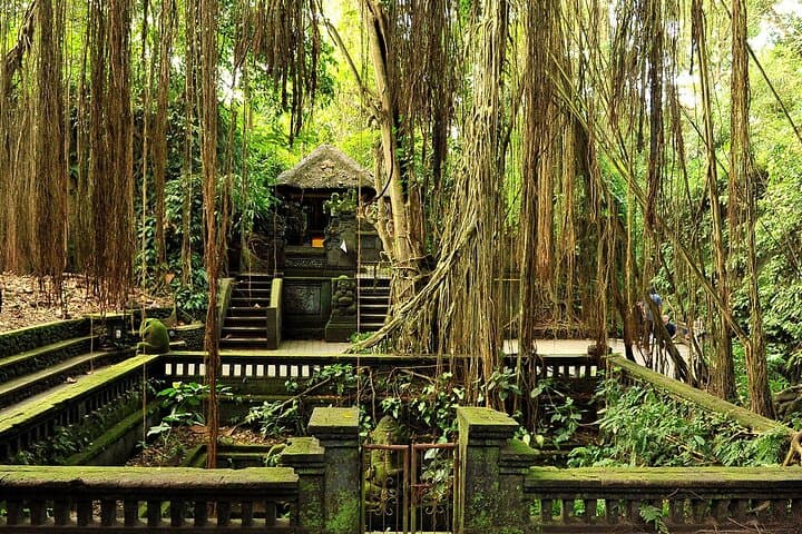 Ubud One-Day Private Tour: Monkey Forest, Tegalalang & Tirta Empul photo 3