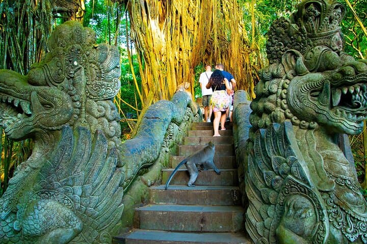 Ubud One-Day Private Tour: Monkey Forest, Tegalalang & Tirta Empul photo 4