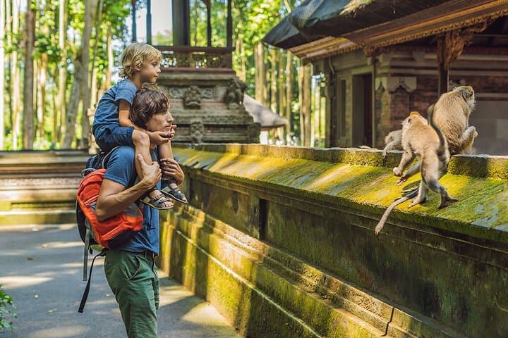 Ubud One-Day Private Tour: Monkey Forest, Tegalalang & Tirta Empul