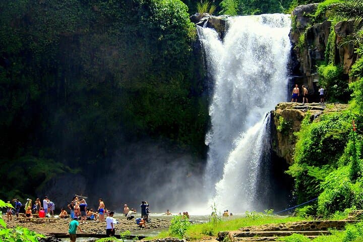 Ubud One-Day Private Tour: Monkey Forest, Tegalalang & Tirta Empul photo 5