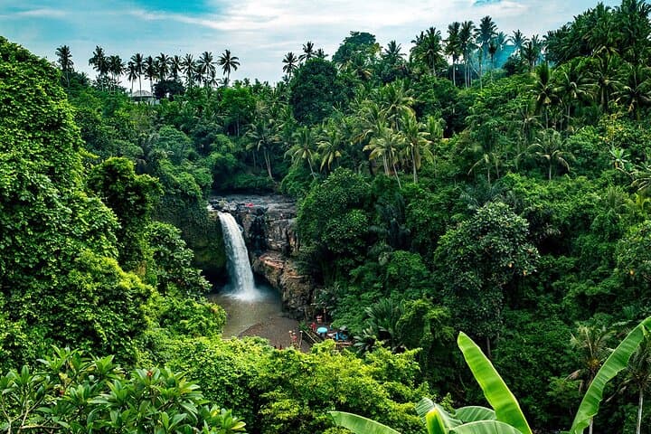 Ubud One-Day Private Tour: Monkey Forest, Tegalalang & Tirta Empul photo 6