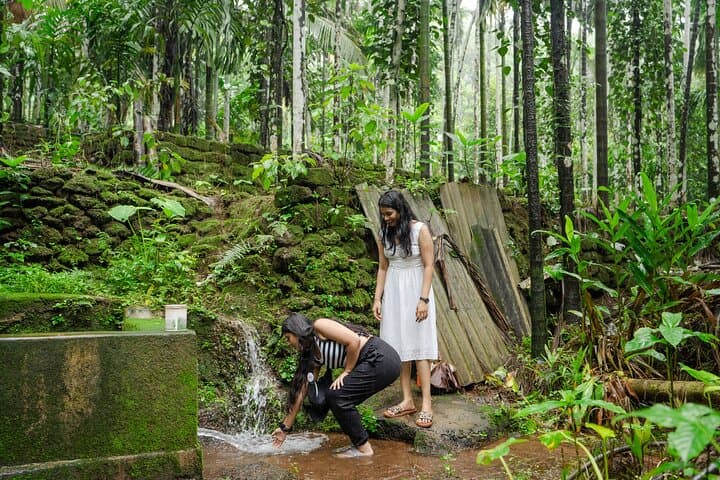 Goan Hinterland: Rivona Caves, Usgalimal Petroglyphs & Spice Plantation Morning