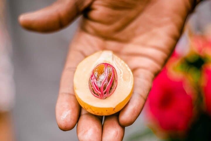 Stone Town & Spice Farm Tour with Prison Island and Lunch — Zanzibar Cultural Day Trip photo 5