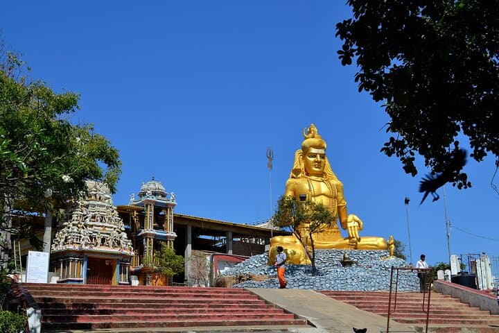 Coastal Wonders: Trincomalee & Pigeon Island Day Tour with Seafood Lunch photo 1