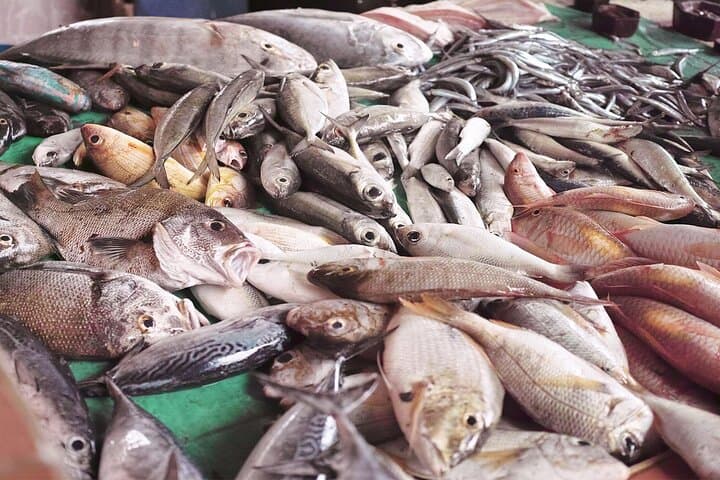 Coastal Wonders: Trincomalee & Pigeon Island Day Tour with Seafood Lunch photo 2