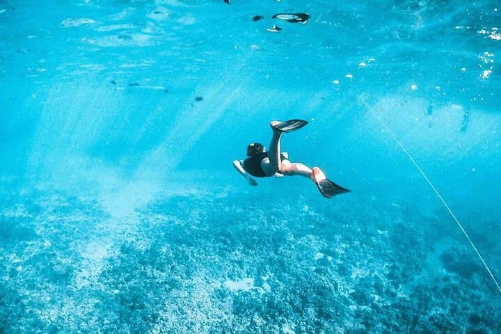 Tiran Island Full-Day Snorkel Adventure from Sharm El Sheikh photo 5