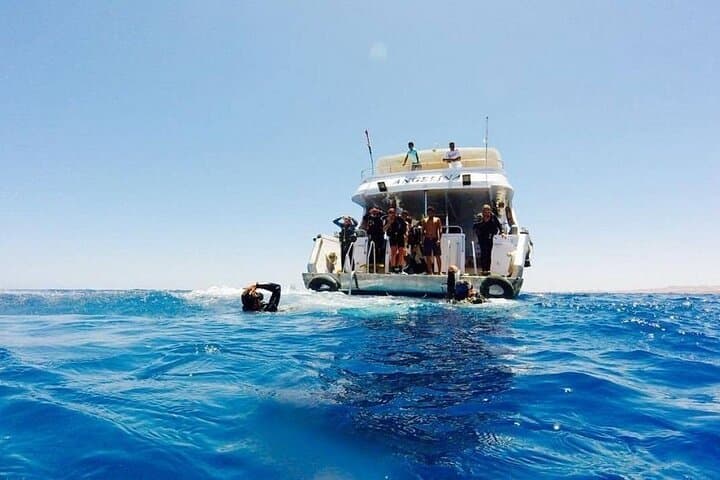 Tiran Island Full-Day Snorkel Adventure from Sharm El Sheikh photo 3