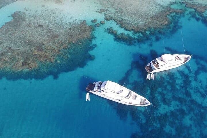 Tiran Island Full-Day Snorkel Adventure from Sharm El Sheikh