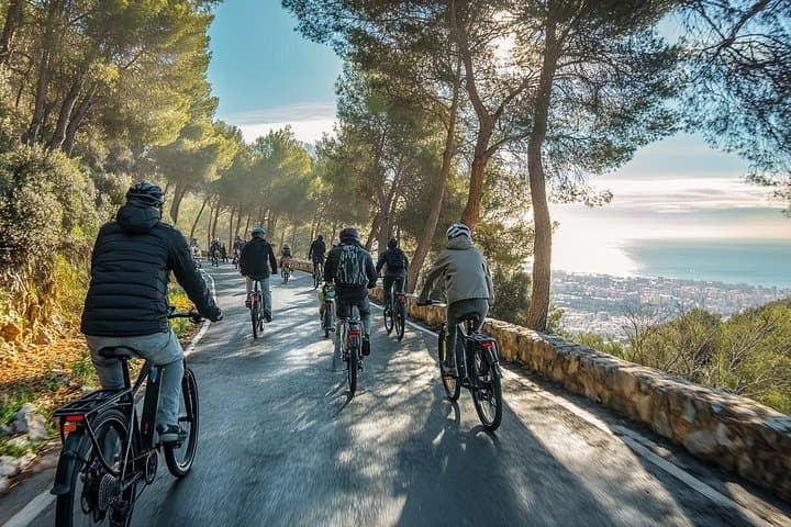 Malaga E-Bike Tour to Gibralfaro Forest: 2-Hour Coastal & Historic Ride photo 1