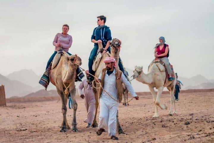Marsa Alam Desert Buggy & Camel Ride: Spider Car Half-Day Adventure photo 2