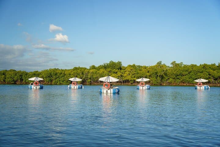 Self-Drive Eco-Electric BBQ eBoat Cruise from Port Denarau, Fiji photo 2