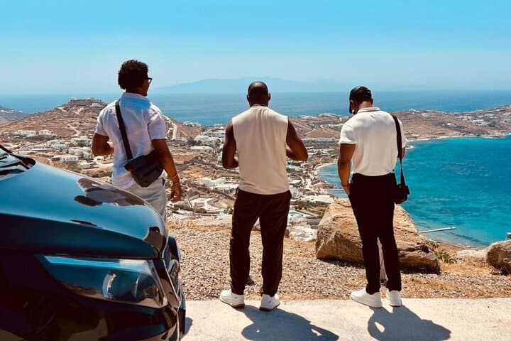 Mykonos Half-Day Highlights — Beaches, Town & Local Culture photo 4