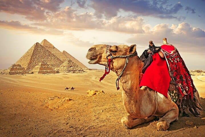 Sharm el Sheikh to Cairo Day Trip by Plane — Pyramids & Egyptian Museum photo 2