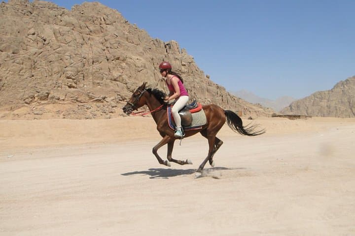 Sunset Horse Ride in Sharm el Sheikh Desert: Bedouin Village Experience photo 3
