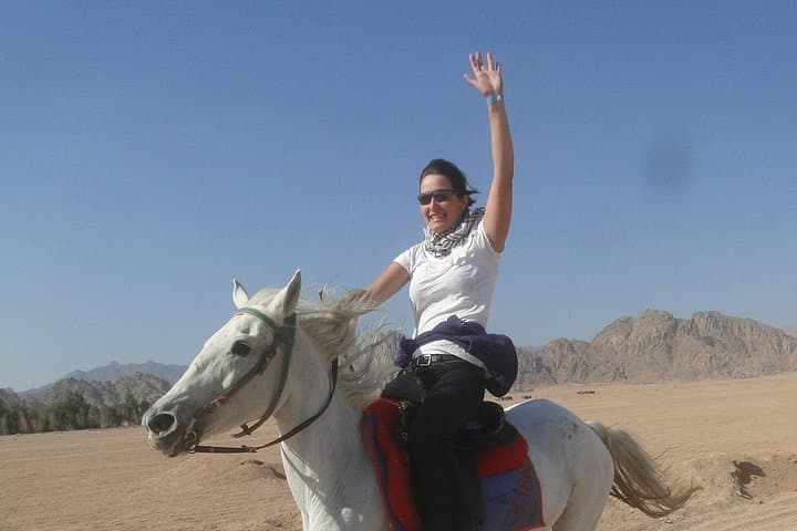 Sunset Horse Ride in Sharm el Sheikh Desert: Bedouin Village Experience photo 4