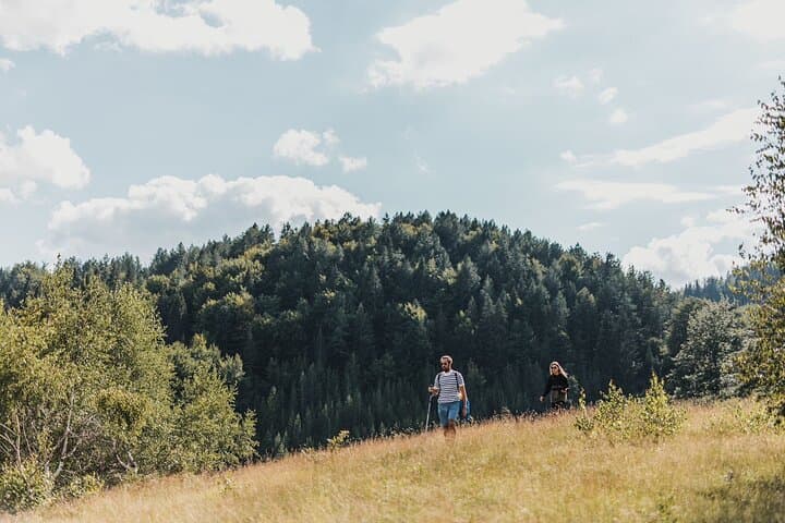 Montenegro Forest Foraging and Rustic Cooking: A Guided Wild Mushroom Adventure photo 3