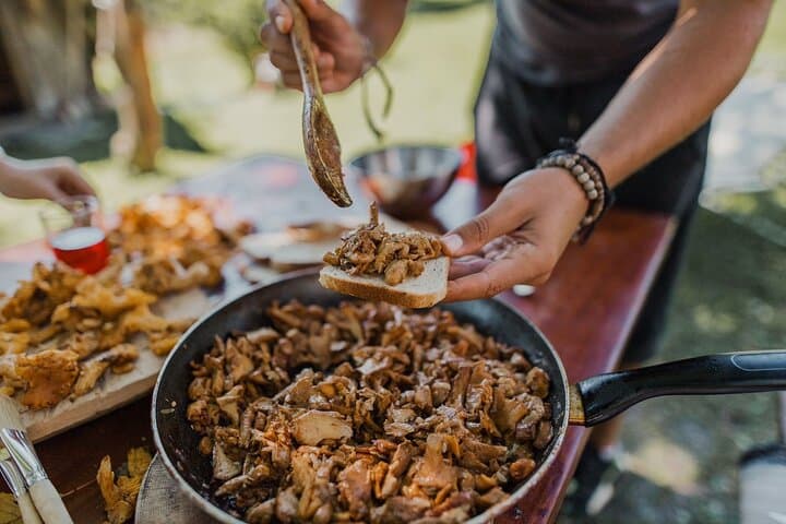 Montenegro Forest Foraging and Rustic Cooking: A Guided Wild Mushroom Adventure photo 4