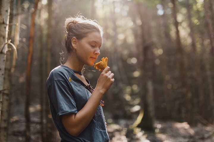 Montenegro Forest Foraging and Rustic Cooking: A Guided Wild Mushroom Adventure photo 2