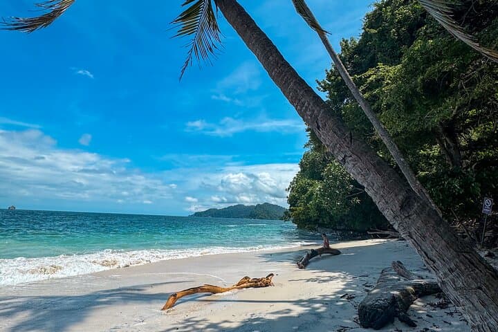 Private All-Inclusive Day Trip to Playa Quesera from San José photo 4