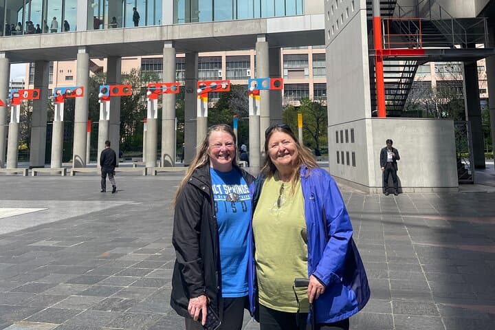 Half-Day Osaka Walking Tour with National Licensed Guide