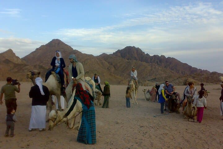Camel Ride in Sharm El-Sheikh Desert — 2-Hour Dromedary Experience photo 4