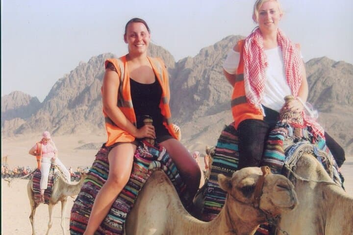 Camel Ride in Sharm El-Sheikh Desert — 2-Hour Dromedary Experience photo 5