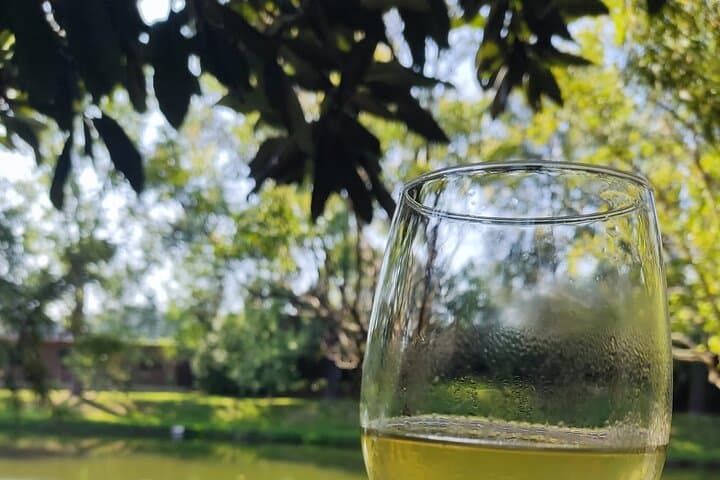 Vinho Verde Vineyard Tasting: Small-Group Tour from Northern Portugal photo 5