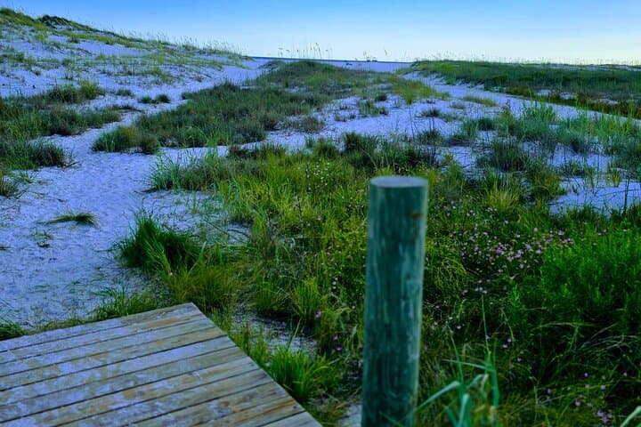 Destin Sunset Cruise to Shell Island — 3-Hour Boat Tour & Snorkel photo 2