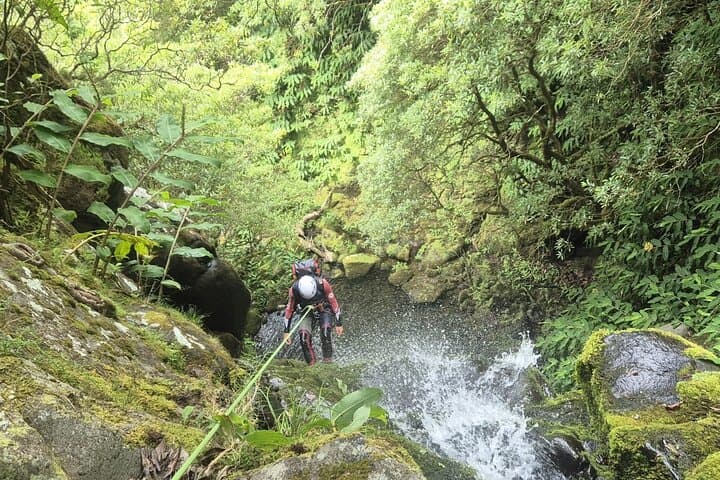 Canyoning Expedition in São Miguel — Ribeira da Praia with Limite Vertical photo 4