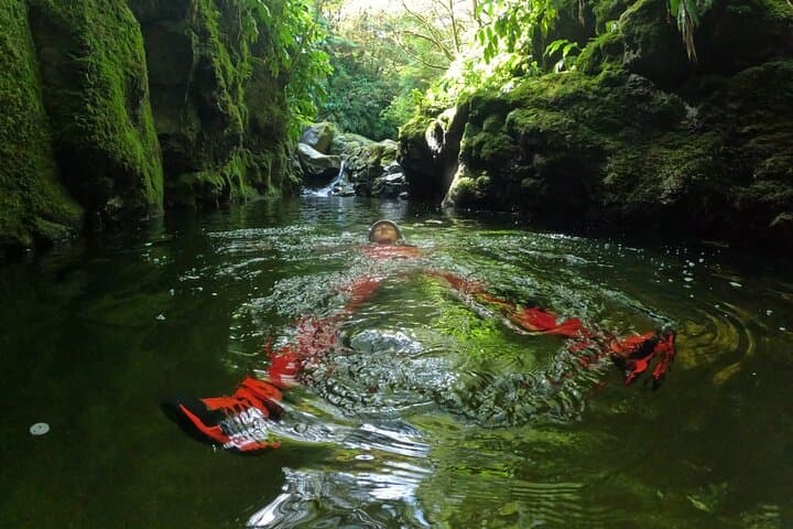 Canyoning Expedition in São Miguel — Ribeira da Praia with Limite Vertical photo 5