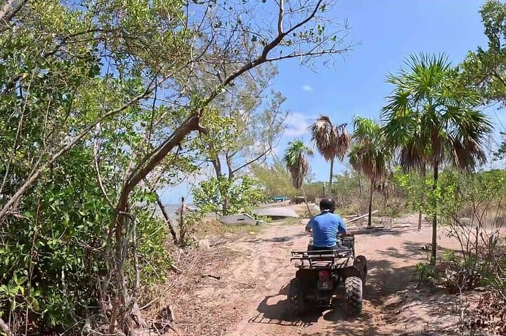 Drive and Glide: Airboat & ATV Jungle Adventure from Cancun to Isla Blanca photo 4