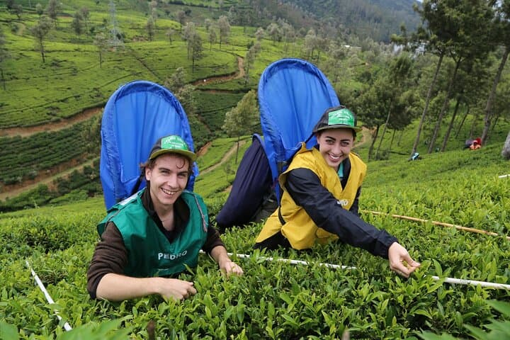 10 Days in Sri Lanka: Scenic Trains, Tea Country & Yala Safari photo 2